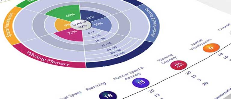 Aptitude Assessments Tests Thomas International