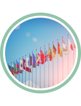 Global network of partners thumbnail