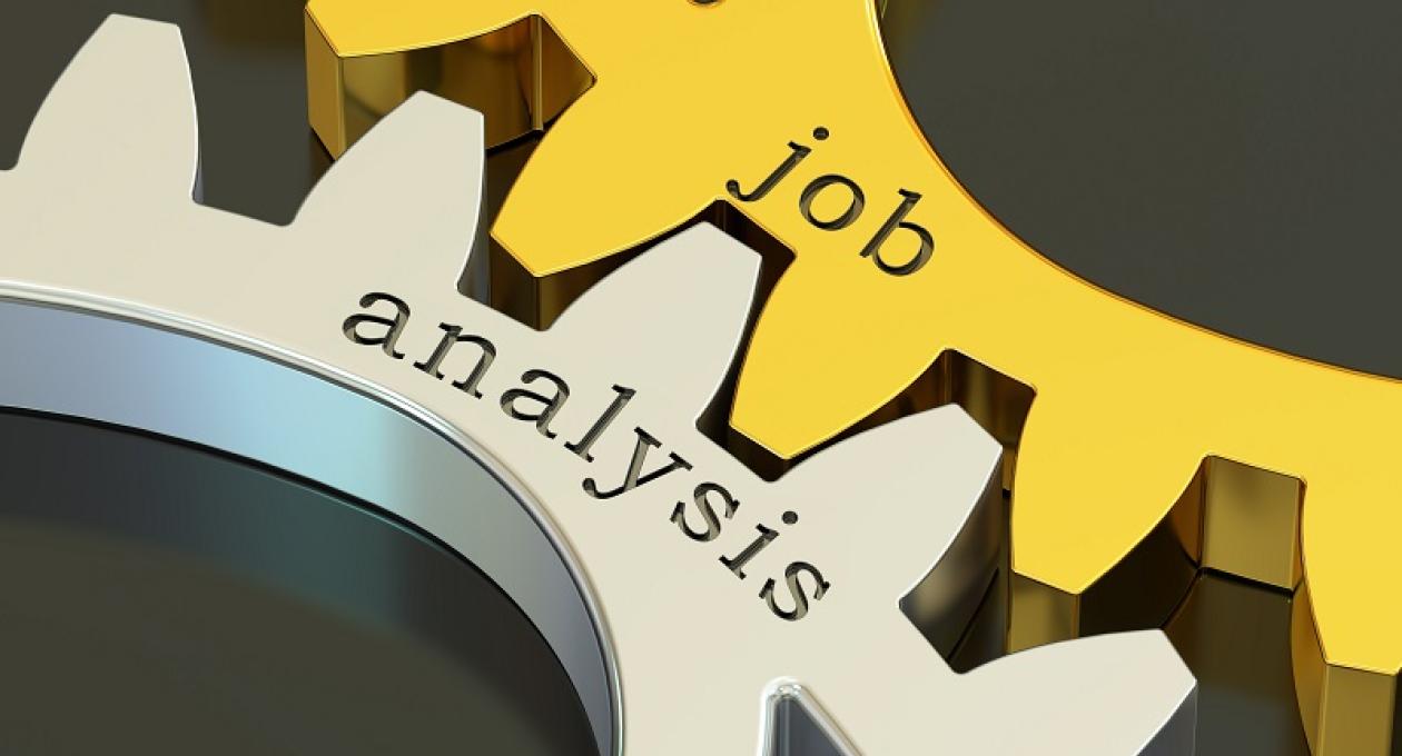 How to Conduct a Job Analysis, And The Importance of Doing So 